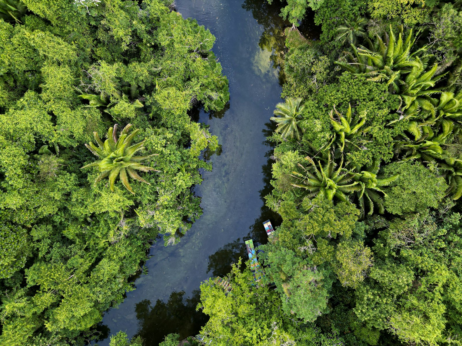 Iquitos · Amazonía